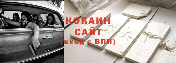 соль ск Абаза