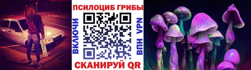 Псилоцибиновые грибы мицелий  Горячеводский 